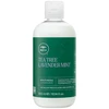 Paul Mitchell arbatmedžio ir levandų bei mėtų drėkinamasis kondicionierius, 300 ml