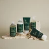 Paul Mitchell Tea Tree Scalp Care Regeniplex šampūnas 1000 ml