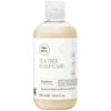Paul Mitchell arbatmedžio galvos odos priežiūros kondicionierius Regeniplex, 300 ml