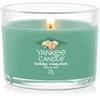Yankee Candle Holiday Winterfest kvepianti žvakė, 37 g