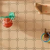 Krepšinio rinkinys Masterkidz, tvirtinamas prie STEM sienos