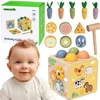 Tooky Toys Edukacinis kubas Tooky Toy, 5 viename