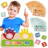 Tooky Toys Edukacinis žaislas Tooky Toy, judančios rankos