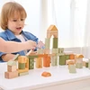 Viga Toys Medinės kaladėlės VIGA PolarB, 50 elementų