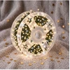 Girlianda „Pasaka Flash“ 25m, 1200 Led