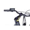Elektrinis dviratis DENVER EMOTIVE 28", pilkas