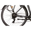 Elektrinis dviratis DENVER EMOTIVE 28", pilkas