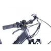 Elektrinis dviratis DENVER EMOTIVE 28", pilkas