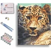 101 paveikslas tapyba pagal skaičius suaugusiems su rėmu didingas leopardas tapyba pagal skaičius amatų „pasidaryk pats“ rinkinys 40 x 50 cm drobė, užtempta ant medinio rėmo