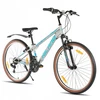 26 colių kalnų dviratis suaugusiems 21 pavarų Hardtail Mtb Dual V stabdžiai, pilkas