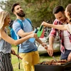 330 ml butelių aušintuvas, 5 vnt. alaus aušintuvų rinkinys alaus butelių aušintuvas su užtrauktuku alaus butelių aušintuvo užvalkalai šaltiems alaus butelių izoliatoriams alui, gėrimams (juoda/raudona/mėlyna/geltona/žalia)