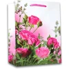4 dovanų maišelių rinkinys din a4 ir din a5 dovanų maišeliai 18 x 23 x 10 cm ir 32 x 26 x 12 cm gimtadienio dovanų maišeliai popierius 160 g/m² dovanų pakavimo rinkinys combi large 12