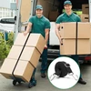 4 vnt. Reguliuojami elastingi diržai su kabliukais, 1m