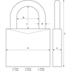 Abus 180ib/50 Marine Combination pakabinamas užraktas, žalvarinis