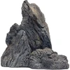 Akmuo dragon stone ds-05 (30x18x30cm) naujiena