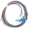 Akozon šviesolaidinis pigtail'is 12 gijų šviesolaidinis pigtail'is Lc/upc Single Mode Low Insertion Loss 1.5m