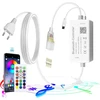 Alitove bluetooth valdiklis, skirtas tik rgb spalvą keičiančioms led juostoms, ac 220v-230v maitinimo adapteris su ir nuotolinio valdymo pulteliu neoninei led juostai, suderinamas su b0cd298py7 b0cd29dws5 (be neoninės šviesos)
