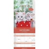 Alpha Edition - Šeimos planuotojas Kitten 2025, 19.5 x 45 cm, Šeimos kalendorius su 5 stulpeliais susitikimams, mėnulio fazėms, atostogų datoms De/at/ch ir vokiškas kalendorius: autorė Sabine Rath