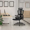 Alpha home ergonomiška biuro kėdė, rašomojo stalo kėdė su kojų atrama, reguliuojama juosmens atrama ir galvos atlošu, kvėpuojanti kompiuterio kėdė su 3d porankiais namams, biurui, studijoms