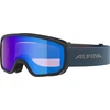 Alpina unisex Scarabeo S Q-lite slidinėjimo akiniai (1 pakuotė)