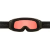 Alpina unisex slidinėjimo akiniai (1 vnt.)