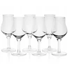 Amber Glass Tasting Set - 6 viskio degustacinių taurių degustacijai