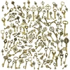 Antikvarinis bronzinis vintažinis skeletas-raktas, bronzinis.