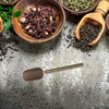Arbatiniai samteliai Vintage Scoop prieskonių samtelis kavos šaukštas druskai kavai arbatai (antikvarinis varis)