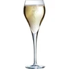 Arcoroc Brio Šampano Taurės 6 vnt. 16cl