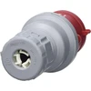 As - Schwabe Cee fazių keitimo kištukas 400v 32a