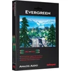 Audioquest Evergreen 2rca į 2rca 1m