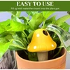 Automatinio laistymo rutuliai, 4 vnt. po 150 ml