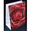 Bagland Flower Emotions 3 popieriniai dovanų maišeliai - 160 gsm Economy Pack - 12 asorti pakuotė, 26 x 32 x 10 cm