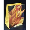 Bagland Flower Emotions 3 popieriniai dovanų maišeliai - 160 gsm Economy Pack - 12 asorti pakuotė, 26 x 32 x 10 cm