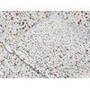 Baldų plėvelė raštu Lastryko, rulonas, matmenys 67x200cm, lipni Pvc plėvelė