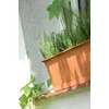 Balkono lovelis Kotarbau, 50 cm
