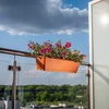 Balkono lovelis su rankenomis 60 cm