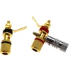 Be In Your Mind 8 mm x 4 mm bananinis kištukas stiprintuvo garsiakalbio plokščiai jungčiai