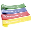 Bodymate treniruočių gumos, 4 stiprumų rinkinys su nešiojimo krepšiu, 60 cm apimtis x 5 cm plotis, fitneso guma, kilpa pagaminta iš natūralaus latekso, pasipriešinimo gumos, funkcinės treniruotės