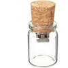 Bottle 16gb Usb atmintinė, rašiklis, atminties laikmena, permatomas stiklinis kamštelis