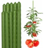 Bradas 10 vnt. augalų atrama, dengtas plieno kuolas pomidorams, gėlėms, 120 cm