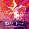 Vinilinė plokštelė Breakthrough - Underground Sounds of 1971 4cd Boxs