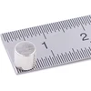 Brudazon 75 mini diskiniai magnetai 5 x 5 mm N52 stipriausio lygio neodimio magnetai itin stiprūs magnetai modelių gamybai, nuotraukoms, lentoms, skelbimų lentoms, šaldytuvams, rankdarbiams, itin stiprūs magnetiniai diskai