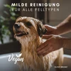Buddy Bruno® Šampūnas jautriems šunims | Su vitaminais + natūrali priežiūra su šaltalankių ekstraktu | Veganiškas | Atstato odą ir kailį | Apsaugo nuo kvapų ir niežulio, dermatologiškai patikrintas | 250 ml