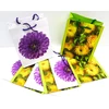 Capiso 8 vnt. vidutinio dydžio dovanų maišelių su tvirta virvele 23 cm x 18 cm x 10 cm, dovanų maišeliai su rankena, vakarėlių maišeliai, spalvingi maišeliai, kraft popieriniai maišeliai, gėlės