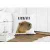 Capybara puodelis + pagalvė su užpildu kaip dovana