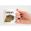Capybara puodelis + pagalvė su užpildu kaip dovana