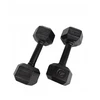 Cast Fitness Hex hanteliai 2x10 kg – ketaus, patvarūs, treniruočių