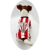 Cyp Brands Sh-01xl-ac Poliesterinis marškinėlis šuniui Athletic Club su dryžiais, Xl dydis, raudona/balta, Xl