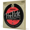 D'addario Ej45c Pro-arte Composites Normalaus stiprumo (.028-.044) klasikinės gitaros stygos